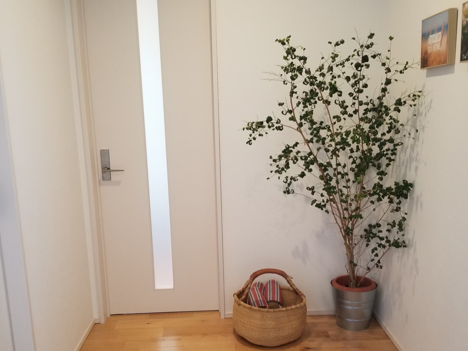 4月に運気を整える風水とは？玄関・デスク・クローゼットの見直しポイント